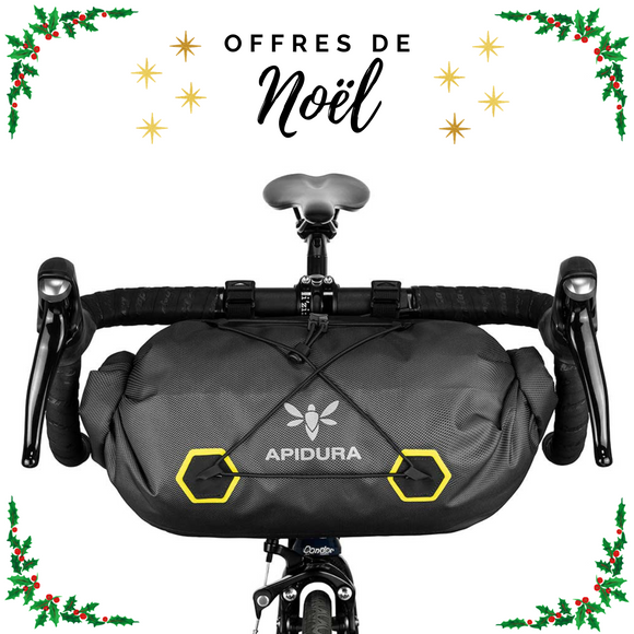 Sacoche Apidura Expedition Handlebar Pack 14L