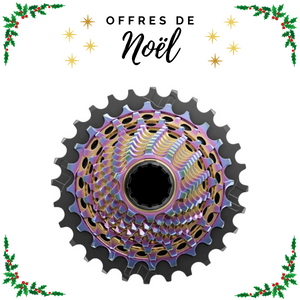 Cassette SRAM RED AXS E1 XG 1290 12 vitesses RAINBOW