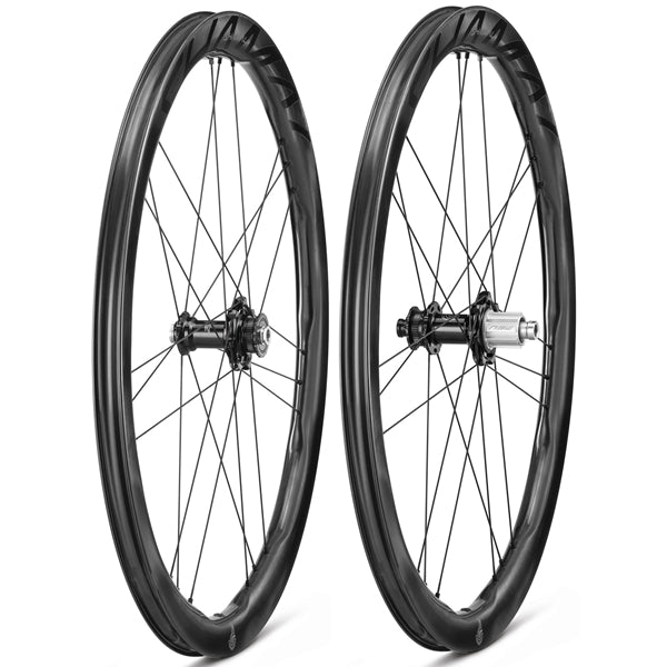 Moyeux Avant 22 Trous Et Arrière 24 Trous Campagnolo Shamal - Occasion, Frein Sur Jante, Fabriqué En Italie